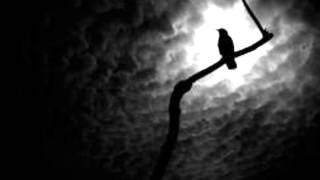 Watch Cryptic Wintermoon Darkness Forever video