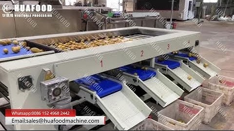 High Efficiency Potato Grading Sorting Machine For Sale