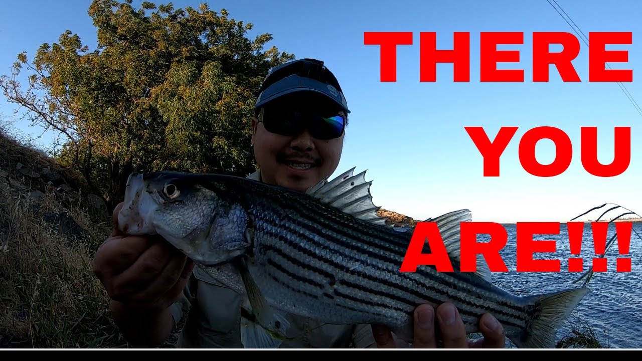 SAN LUIS RESERVOIR FISHING 2020 (SEARCHING FOR STRIPER