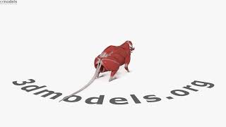 Mouse Muscular System 3D model by 3DModels.org