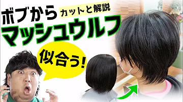 Download マッシュ ウルフ 黒髪 Mp4 Mp3 Download マッシュ ウルフ 黒髪 Mp4 Mp3