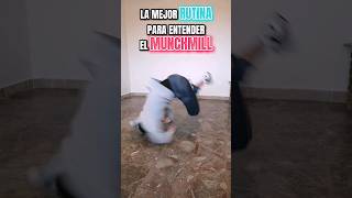 Famous 🤸🏻‍♂️ LA MEJOR RUTINA PARA ENTENDER EL MUNCHMILL Net Worth