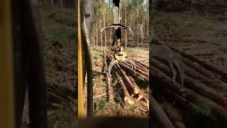 Tigercat 234b loader