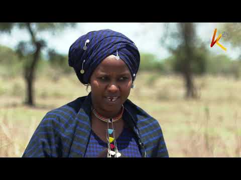 Siha Ya Punda Punda Anaweza Muambukiza Binadamu Kimeta