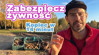 Download Lagu Kopiec na zimę: jak przechować marchew, ziemniaki i buraki bez lodówki MP3