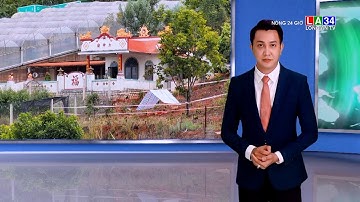 Lâm Đồng: Kinh hoàng vụ người vợ bị sát hại chôn xác phi tang ngay sát nhà | LONG AN TV