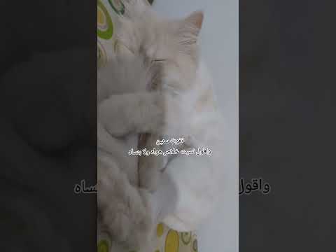 تفوت سنين واقول نسيت خلاص
