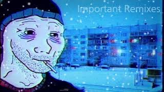 Past Day's Время - Doomer Remix