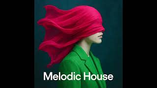 dj Shabby - June 2025 Melodic House Mix pt. 1 #djmix #melodictechno #melodichouse #afrohouse