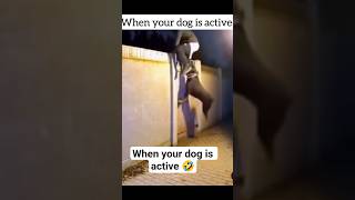 my Ex boyfriend came to visit then  this happened 🤣 #highlights #funny #youtubeshorts  #viral