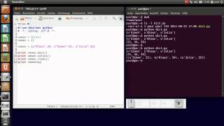Python-Programmierung - Dictionaries (Teil 3)