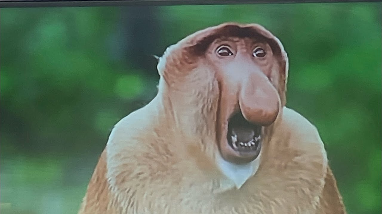 Straighten my hair with me for school