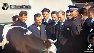 Atatürkün Hayvan Sevgisi