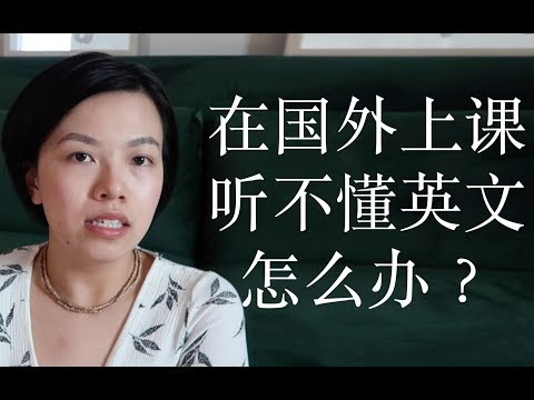 【全英中字FAQ系列】在国外读书上课听不懂英文怎么办？只能简单交流？看美剧看书没用？