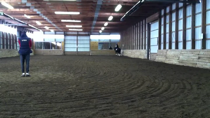 Amy and Ted Clinic with Jan Ebeling Part 4