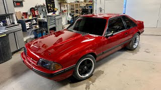 Custom Candy Red Fox Mustang By Trendless Designs