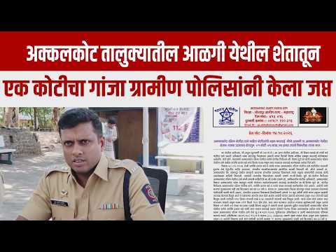 अक्कलकोट तालुक्यातील आळगी येथील शेतातून एक कोटीचा गांजा ग्रामीण पोलिसांनी केला जप्त