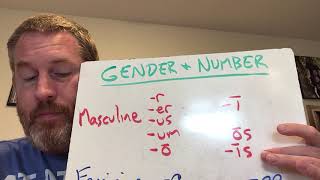 Latin 1 - Chapter 6 Gender and Number Review NOUNS