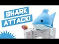 Step-By-Step Shark Plush!