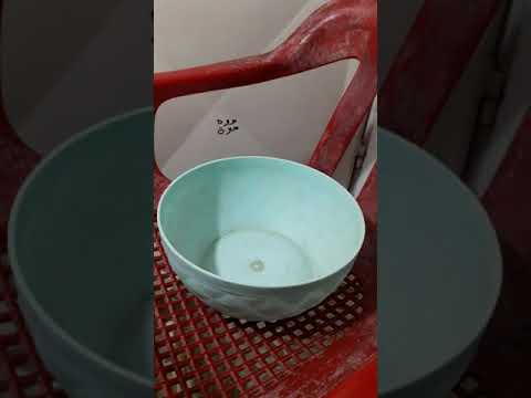 افراخ اسماك المولي بعمر خمسه ايام