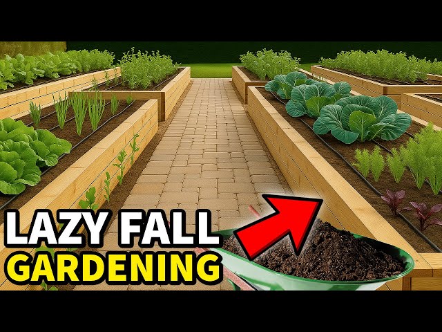 How to Plant Vegetables in Raised Beds: Easy Steps for Success