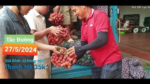 Tắc Đường Giá Vải U Hồng Cao Nhất 40k - Thanh Hà 35K l Núi Đồi Lục Ngạn