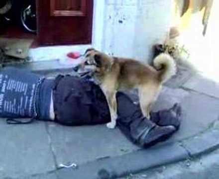 Passed Out Drunk Men Funny Pictures