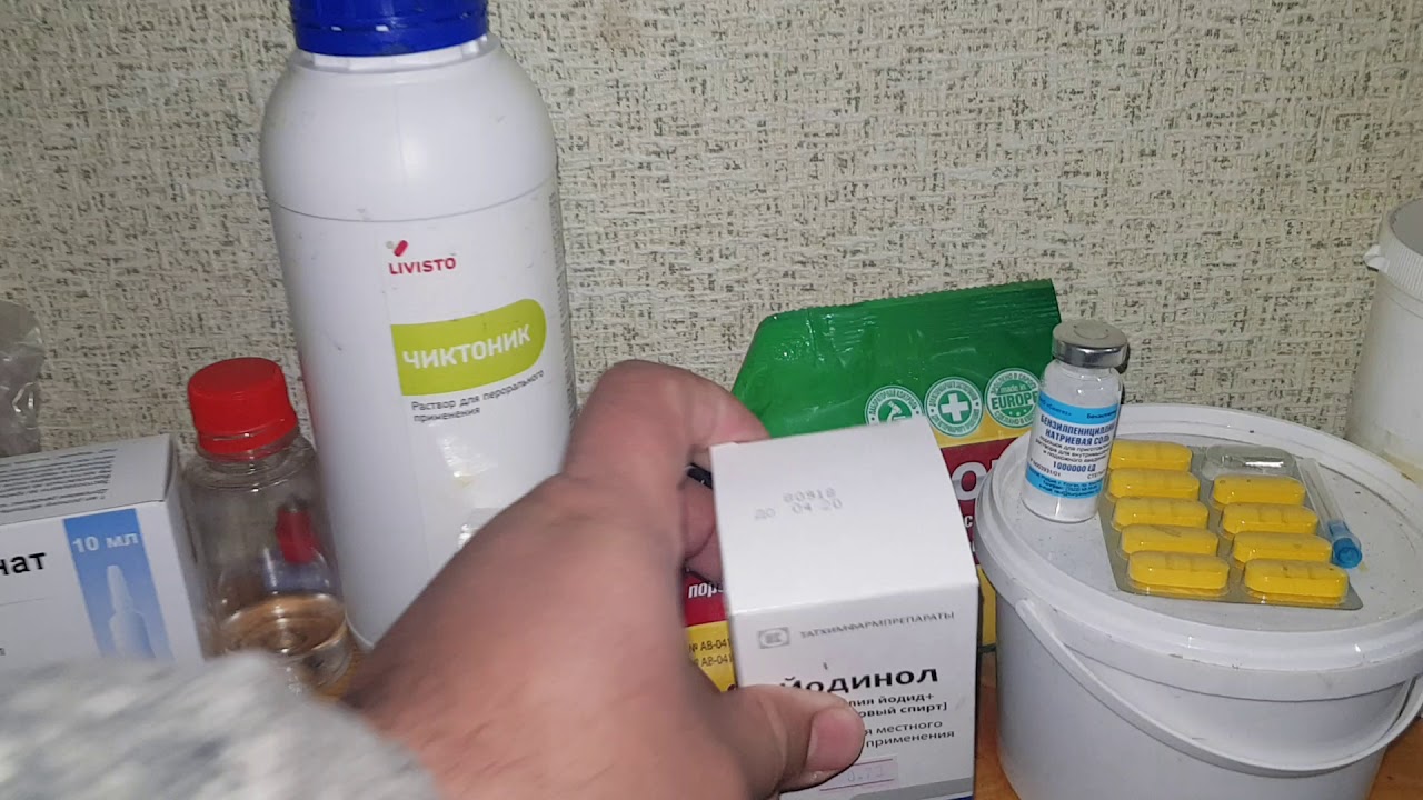 Soyuq havalarda Toyuq ve Cucelere xesteliklerden qorumaq ucun ne ede bilerik ?