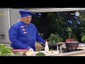 آموزش بت هواری سیستانی آموزش بت هواری سیستانی