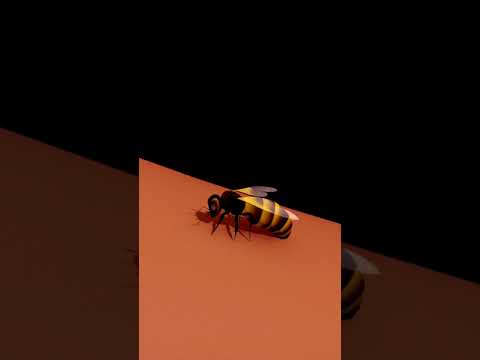 Video: Bir yaban arısı nasıl ısırır: mükemmel silah