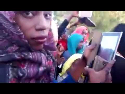 تراث قبيلة ارنقاء الفنان الكبير دكتور مكي