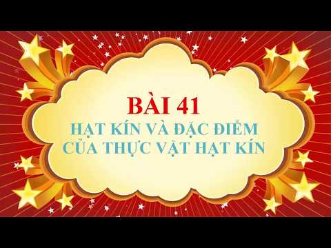 Sinh học lớp 6 - Bài 41 - Hạt kín và đặc điểm của thực vật hạt kín