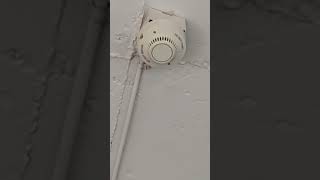 Fire Safety Building Audit2025 Smoke Detector Alarm System Full Check Professional Maintenance Demo
