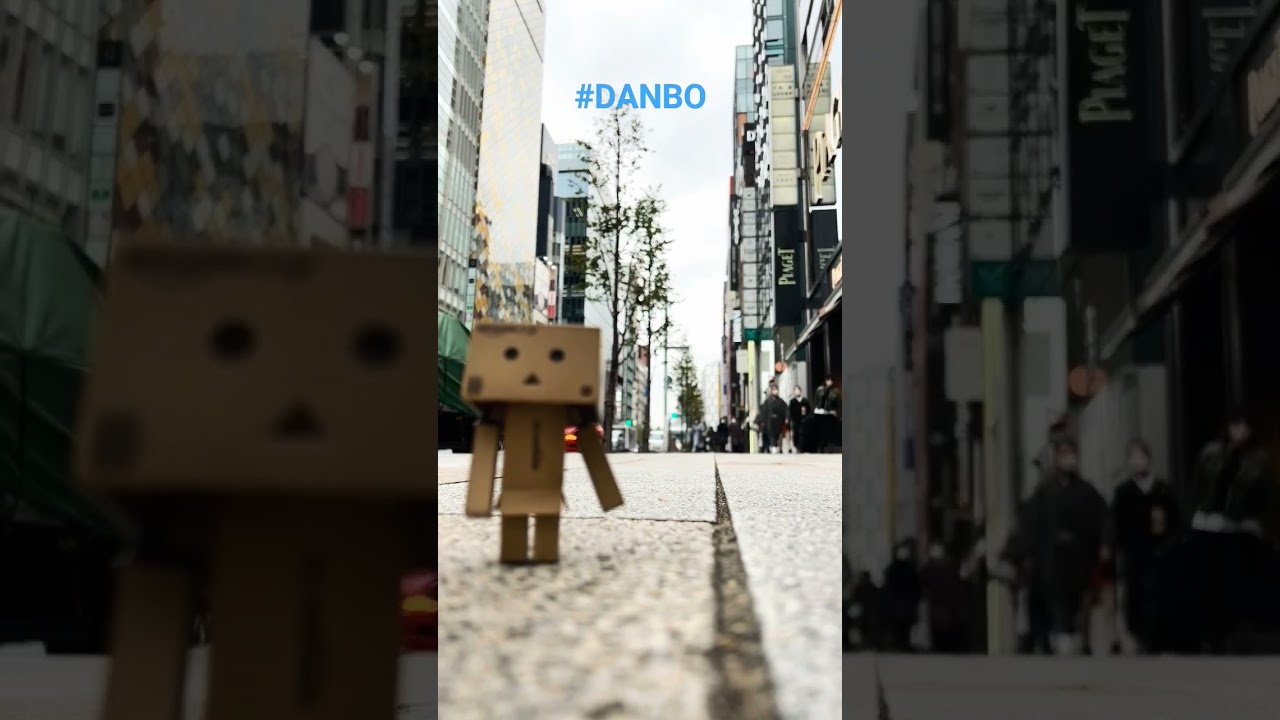 DANBO 
