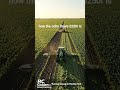 John Deere 6250R Green Manure Cutting |Cover Crop to Healthy |Smart USA Farming| RC Golden USA