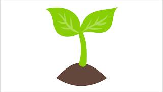 Puppet Pin Tool After Effects. Plant Animation