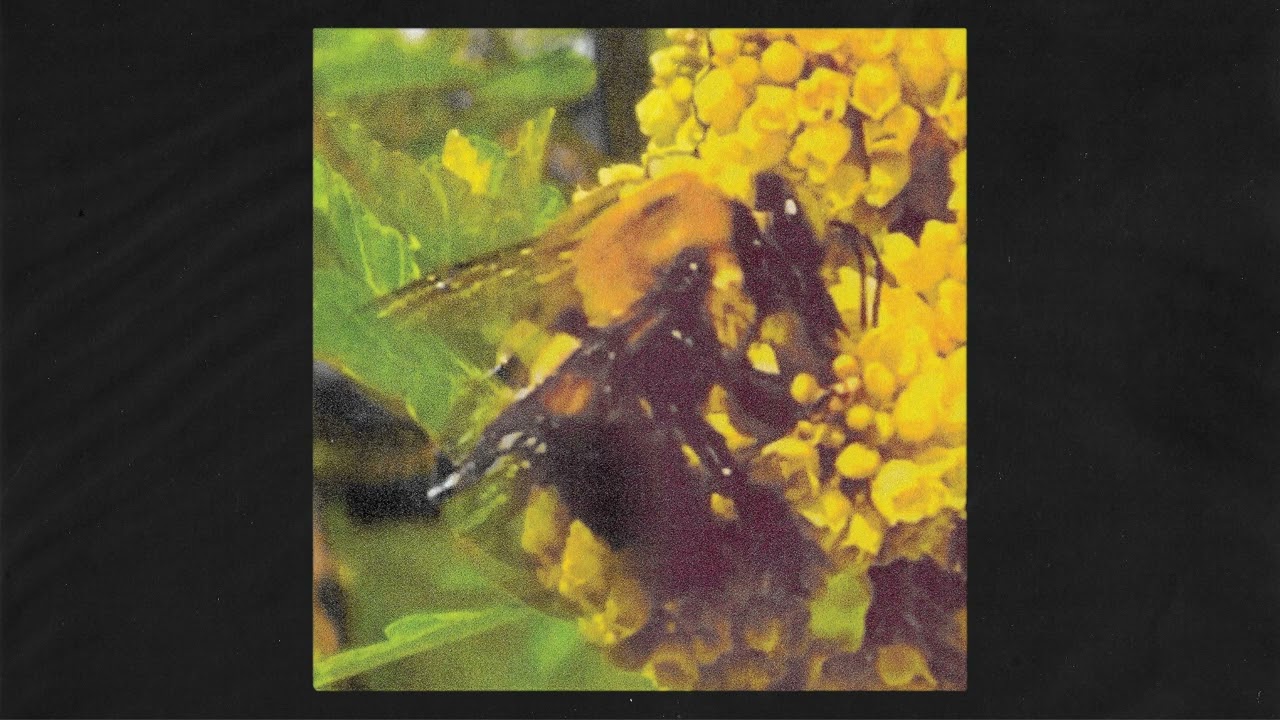 在 YouTube 上观看 Broncho - "Imagination" (Official Audio)