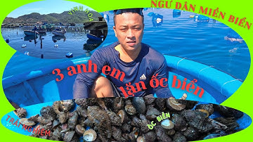 TRẢI NGHIỆM LẶN ỐC BIỂN CÙNG 3 ANH EM // Ngư dân miền biển