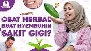 MENYEMBUHKAN SAKIT GIGI DI RUMAH, CUMA PAKAI OBAT HERBAL!