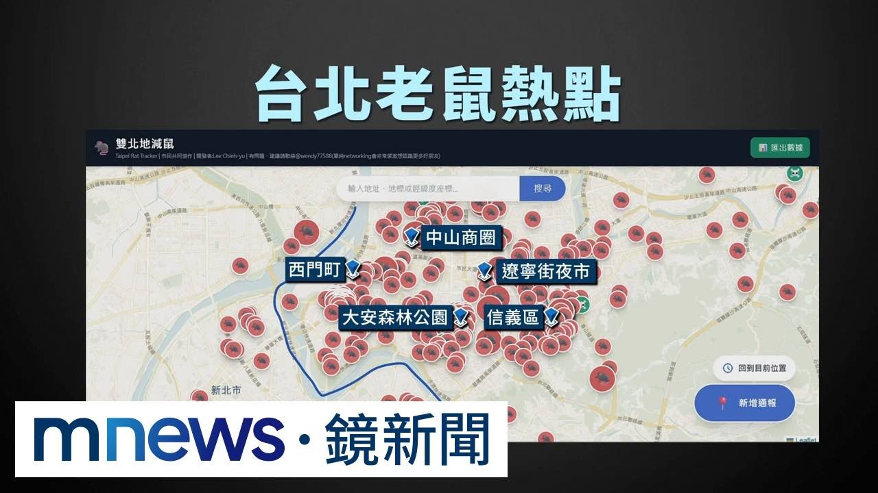 獨家／見鼠通報驚「四大熱區」！　環保局稱「數量下降」專家：數據偏差｜#鏡新聞