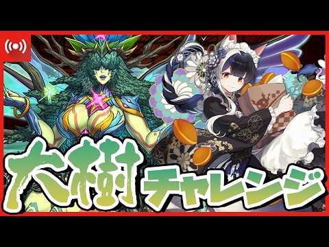 【パズドラ】『大樹』チャレンジを俺の嫁「ミナカ」染めドラゴン縛りでクリアできるのか！？ #shorts #パズドラ #ドラゴン縛り