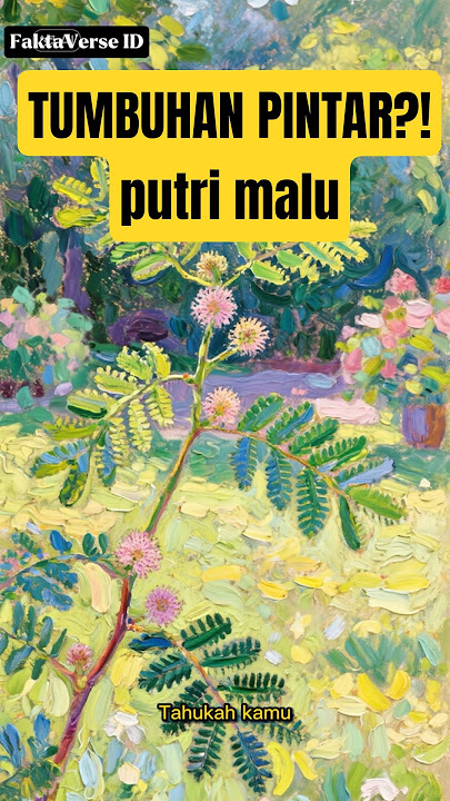 Putri Malu Bisa Menghitung Waktu?! | Fakta Unik yang Bikin Takjub #shorts