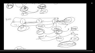 206. Reverse Linked List | Leetcode | Iterative - Recursive | Detailed Explanation | C++ |