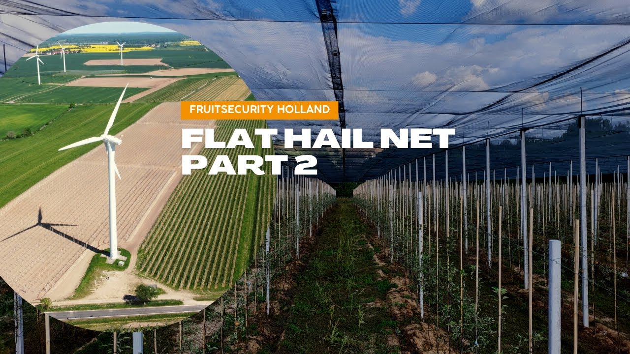 Flat Hail Net System (Germany Part 2/3)- FRUITSECURITY HOLLAND