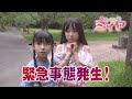 宮崎天満宮のある天神山をぶらり散策する旅の企画が、のさんの体調不良によるアクシデントで緊急事態が発生しました！どうなる？花の妖精たち！【宮崎天満宮：参拝➋】