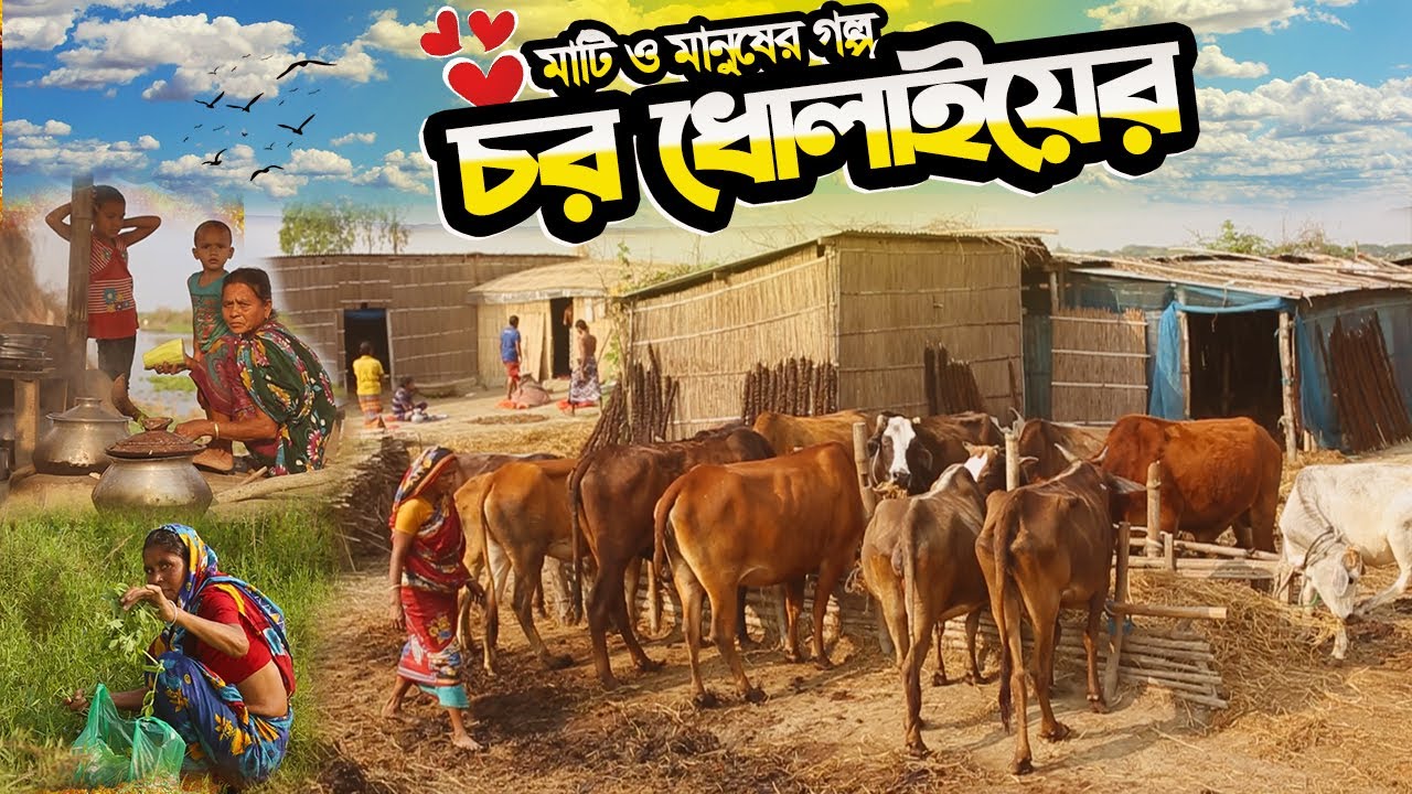 চর ধোলাইয়ের মাটি ও মানুষের দুঃখ কষ্টের জীবন ও বেঁচে থাকার গল্প | Dholai Char | Village Life BD