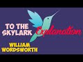 To The Skylark Explanation Of William Wordsworth S Poem To The Skylark Explanation Of William Wordsworth S Poem