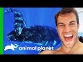 Dr. Evan Antin Swims With Incredible Humpback Whales In Tahiti | Evan Goes Wild