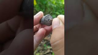 Setup Đồ Câu Sônglê Lên Vlog