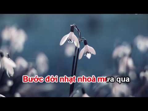 Video LE TINH VOI KARAOKE - youtube